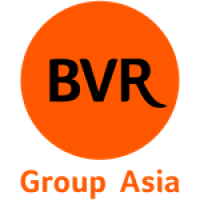 BVR GROUP ASIA PARTNERS WITH COINSUB TO POWER BVR ONE’S TRANSACTION INFRASTRUCTURE 