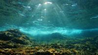 Carbon Pollution Drives “Massive Expansion” of Marine Heatwaves Across Europe