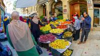 ‘Palestine’ Questions the Media Never Ask