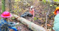 Wild Alabama offers trail maintenance hikes