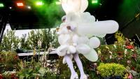 Björk, an Eclipse, and 40 Years of Icelandic Underground Music