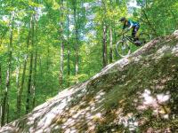 Mountain Biking Case Signals Crackdown on Rogue Trail Building