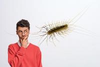 The Role Of House Centipedes In Southern Utah Homes
