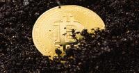 Why Bitcoin Miners Keep Coming to Wyoming and What Locals Should Know
