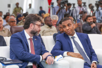 Somalia PM hails 15-year strategic partnership with Turkey