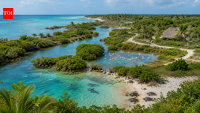 A Mexican couple bought a failed coconut farm 30 years ago; the 346-acre wasteland is now a wildlife haven for turtles, dolphins and flamingos