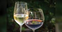 Israeli wine clubs bring Israel’s vineyards to your door