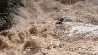 Tourists cling to each other in desperate struggle as raging flood sweeps them down waterfall
