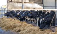 22% of farms with fewer than 100 days feed available