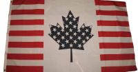 Canada and US reach provisional trade deal as 50% tariff deadline looms