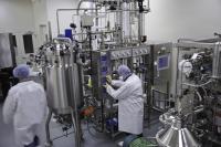 Cutting Costs in Serum-Free FGF2 Processing With Recycled Media
