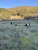 Community Agriculture Alliance: What does the new Colorado River plan really do?  