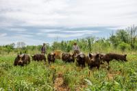 Albemarle farm, Orange furniture company get grants from state government