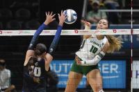 Hawaii picked to finish 5th in debut season in Mountain West