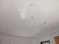 JEALOUS HUSBAND DESTROYS HOME
