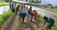 UWI gets agriculture students in the field