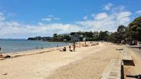 Number of 25C-plus days in Auckland could double by 2050, new research shows