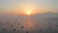 US opens Hormuz shipping corridor to keep Gulf oil flowing: Report