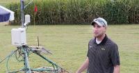 'Corn sweat' can contribute to Missouri's sticky summer heat