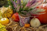 The U.S. harvest festivals worth actually planning a trip around, ranked