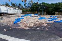 Squid games: 20-ton spill of foul-smelling sea creatures causes eight-hour traffic jam in Rhode Island