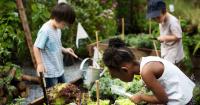 Teaching Farms introduce Arkansas children to gardening