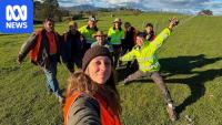 Farmers say backpacker visa pause will risk Australia's food security
