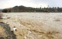 Heavy rains sweep across North Al Sharqiyah, wadis flow in several Wilayats in Oman