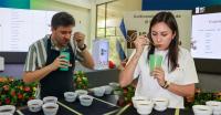 El Salvador Announces 2026 National Coffee Tasters Championship.