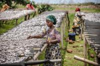 Exhibitions open new markets for small-scale fishers