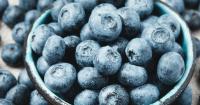 Publix frozen blueberry recall upgraded to highest health risk level