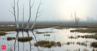 Massachusetts’ 2022 drought pushed seawater into a coastal marsh, triggering an 83% crash in methane emissions; the wetland still hadn’t recovered a year later