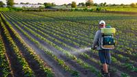 California farmworkers say pesticide drift is harming families before children are even born