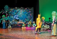 Bodhi and the Rainforest: A children’s musical with a message for the future