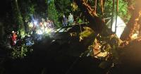 Twenty-three dead as bus collides with truck in Brazil