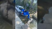 Boat strike suspected in manatee death near Orange Beach
