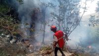 Seven dead after 'tourist' helicopter crashes in Kenya