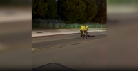 Police identify woman killed in Cypress Hill hit-and-run