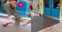 Rat Rides Malaysian MRT for Free and Sends Passengers Into Chaos