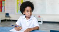 Dominica to launch four-year WISTLE Education Reform Project