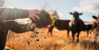 Australian certified organics pass $1bn in sales