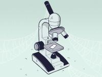 As interest in Stem careers fade, Germany turns to foreign workers to fill the technical talent gap