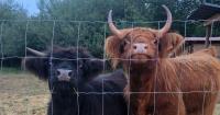 Farmers moving to Nova Scotia where farm costs same as 1-bedroom condo in B.C.
