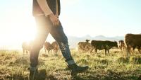 Freshwater farm plans: Government limits audits to higher-risk farms