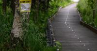 Fish and Game issues river otter alert following 2 attacks along Anchorage waterways