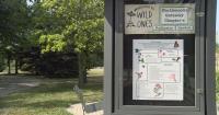 Wild Ones Gateway Chapter educates on native plants and pollinators in Wisconsin