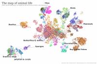 Roadmap of Animal Biodiversity: Largest-Ever Comparison of Chromosome-Scale Genomes