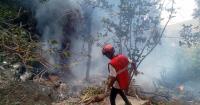 Five US nationals, Ecuador intelligence chief among 7 killed in Kenya helicopter crash