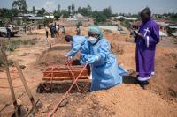 Ebola cases in DR Congo top 5,000 – Africa health agency