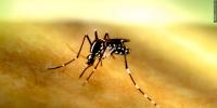 First EEE-positive mosquito sample detected in Massachusetts this season